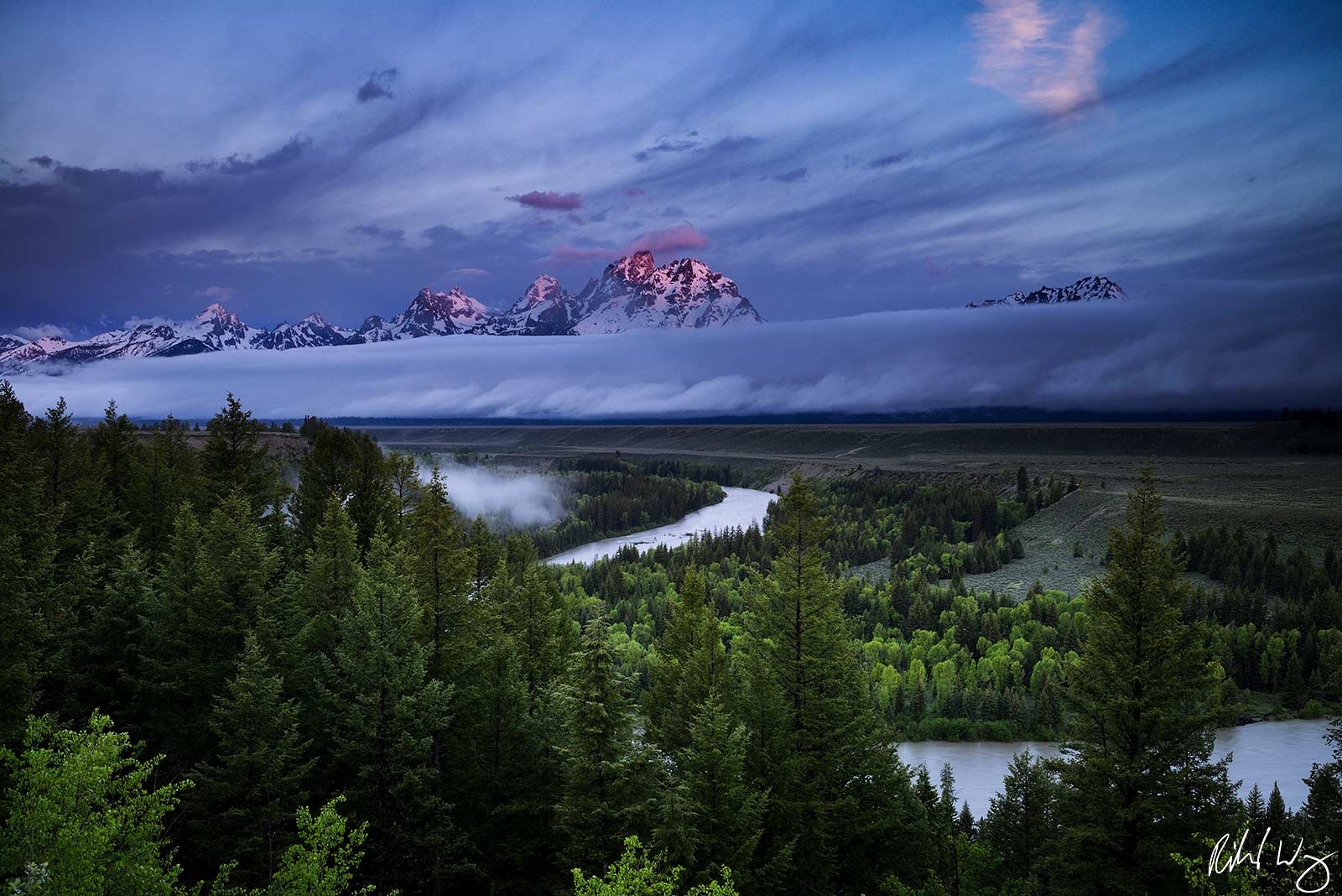A forest with mountains in the background
